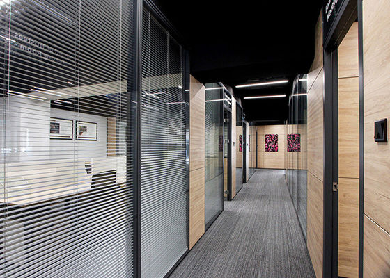 Soundproof Acoustic Office Aluminum Glass Partition wall Dividers space double glass white color